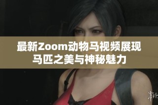 最新Zoom动物马视频展现马匹之美与神秘魅力