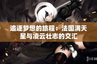 追逐梦想的旅程：法国满天星与凌云壮志的交汇