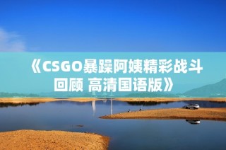 《CSGO暴躁阿姨精彩战斗回顾 高清国语版》