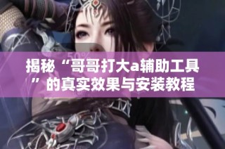揭秘“哥哥打大a辅助工具”的真实效果与安装教程