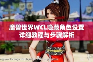 魔兽世界WCL隐藏角色设置详细教程与步骤解析