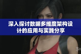 深入探讨数据多维度架构设计的应用与实践分享