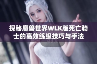 探秘魔兽世界WLK版死亡骑士的高效练级技巧与手法