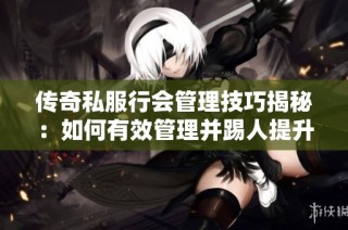 传奇私服行会管理技巧揭秘：如何有效管理并踢人提升团队效率