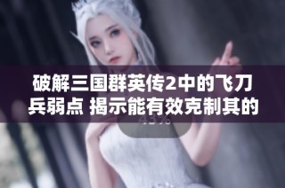 破解三国群英传2中的飞刀兵弱点 揭示能有效克制其的兵种解析