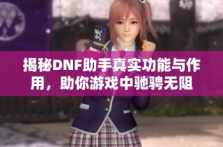 揭秘DNF助手真实功能与作用，助你游戏中驰骋无阻