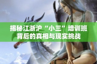 揭秘江浙沪“小三”培训班背后的真相与现实挑战