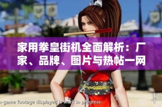 家用拳皇街机全面解析：厂家、品牌、图片与热帖一网打尽