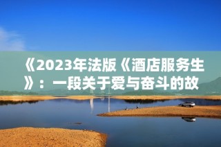 《2023年法版《酒店服务生》：一段关于爱与奋斗的故事再度呈现》