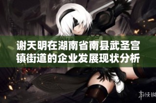 谢天明在湖南省南县武圣宫镇街道的企业发展现状分析
