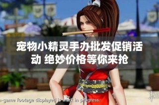 宠物小精灵手办批发促销活动 绝妙价格等你来抢