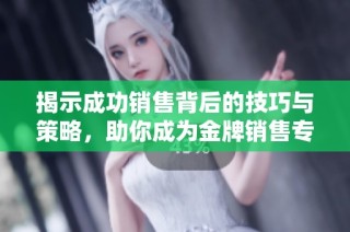 揭示成功销售背后的技巧与策略，助你成为金牌销售专家