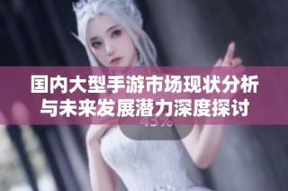 国内大型手游市场现状分析与未来发展潜力深度探讨
