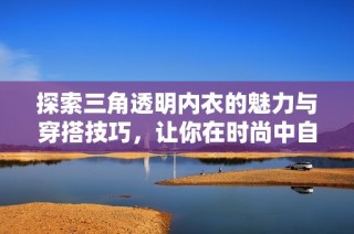 探索三角透明内衣的魅力与穿搭技巧，让你在时尚中自信绽放