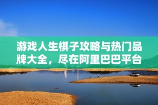 游戏人生棋子攻略与热门品牌大全，尽在阿里巴巴平台展示