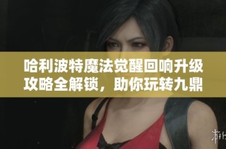 哈利波特魔法觉醒回响升级攻略全解锁，助你玩转九鼎手游世界