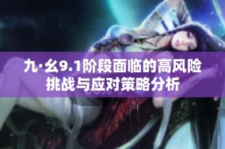 九·幺9.1阶段面临的高风险挑战与应对策略分析
