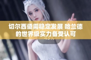 切尔西亟需稳定发展 哈兰德的世界级实力备受认可
