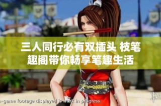 三人同行必有双插头 枝笔趣阁带你畅享笔趣生活
