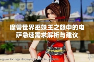 魔兽世界巫妖王之怒中的电萨急速需求解析与建议