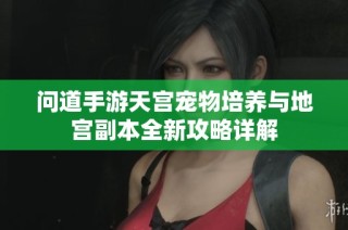 问道手游天宫宠物培养与地宫副本全新攻略详解