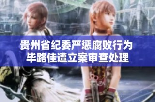 贵州省纪委严惩腐败行为 毕路佳遭立案审查处理