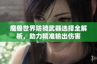 魔兽世界防骑武器选择全解析，助力精准输出伤害