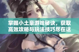 掌握小土豪游戏秘诀，获取高效攻略与玩法技巧尽在这里