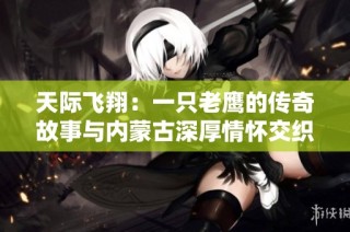 天际飞翔：一只老鹰的传奇故事与内蒙古深厚情怀交织之旅