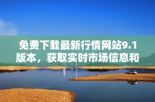 免费下载最新行情网站9.1版本，获取实时市场信息和资讯