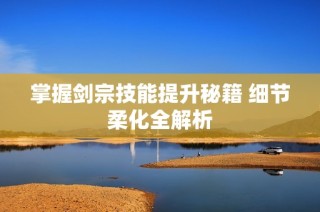 掌握剑宗技能提升秘籍 细节柔化全解析