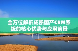 全方位解析成熟国产CRM系统的核心优势与应用前景