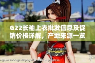 G22长袖上衣批发信息及促销价格详解，产地来源一览