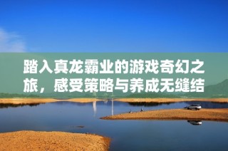 踏入真龙霸业的游戏奇幻之旅，感受策略与养成无缝结合的极致体验