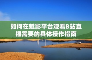 如何在魅影平台观看B站直播需要的具体操作指南