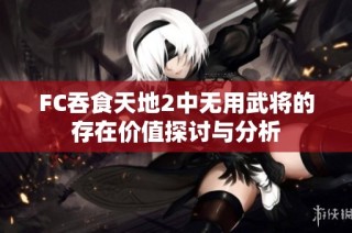FC吞食天地2中无用武将的存在价值探讨与分析