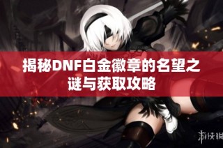 揭秘DNF白金徽章的名望之谜与获取攻略