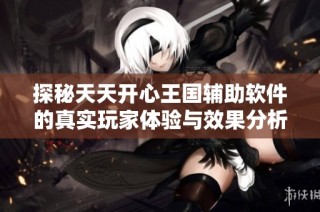 探秘天天开心王国辅助软件的真实玩家体验与效果分析