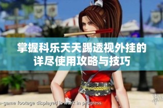 掌握科乐天天踢透视外挂的详尽使用攻略与技巧