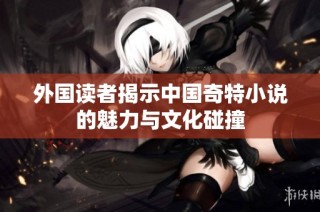 外国读者揭示中国奇特小说的魅力与文化碰撞