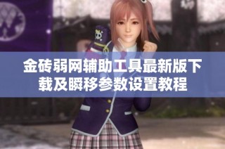 金砖弱网辅助工具最新版下载及瞬移参数设置教程
