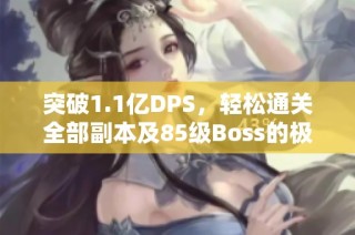 突破1.1亿DPS，轻松通关全部副本及85级Boss的极限挑战视频揭秘