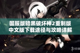 国服版暗黑破坏神2重制版中文版下载途径与攻略详解