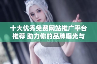 十大优秀免费网站推广平台推荐 助力你的品牌曝光与发展