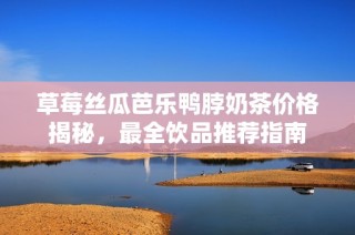草莓丝瓜芭乐鸭脖奶茶价格揭秘，最全饮品推荐指南