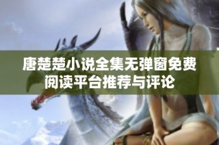 唐楚楚小说全集无弹窗免费阅读平台推荐与评论