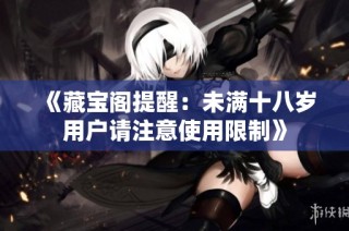 《藏宝阁提醒：未满十八岁用户请注意使用限制》