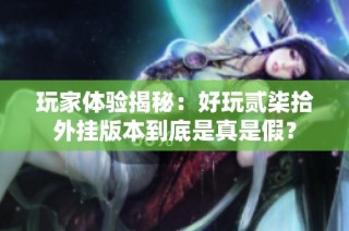 玩家体验揭秘：好玩贰柒拾外挂版本到底是真是假？