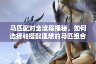 马匹配对全流程揭秘，如何选择和搭配理想的马匹组合