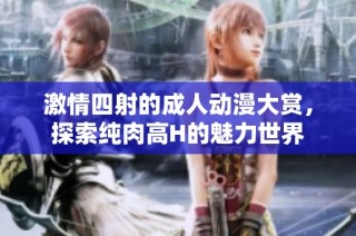 激情四射的成人动漫大赏，探索纯肉高H的魅力世界